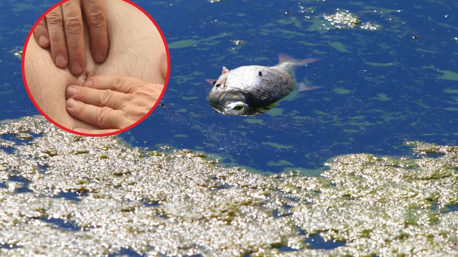 Rzeka Odra poddawana jest obecnie szczegółowym badaniom