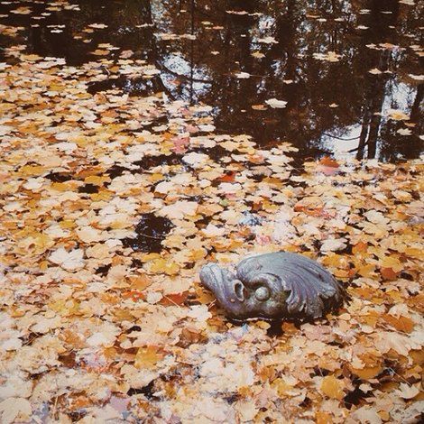 Fotograficzne inspiracje z Instagrama [cz. 1] 28