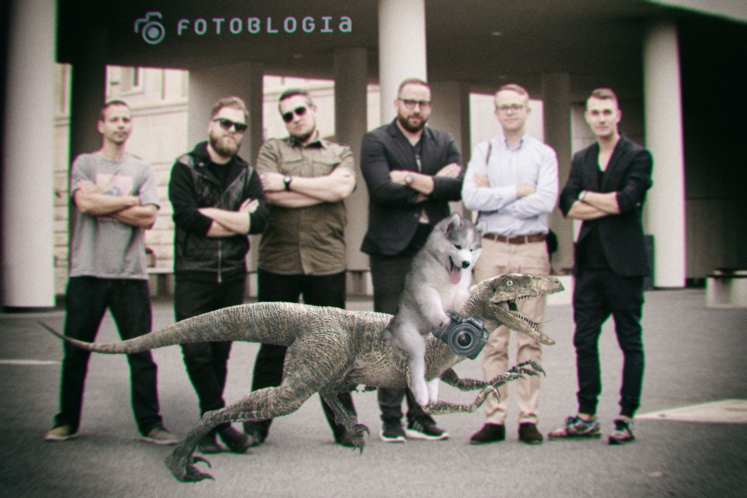 Ten Husky utknął na palmie. Komiczne zdjęcie rozpoczęło photoshopową bitwę 5