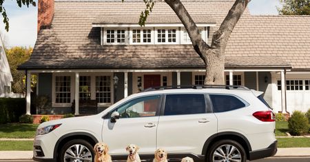 Nowe subaru są tak nudne, że ich reklamy nie mają nic wspólnego z autami. Są w nich za to słodkie pieski