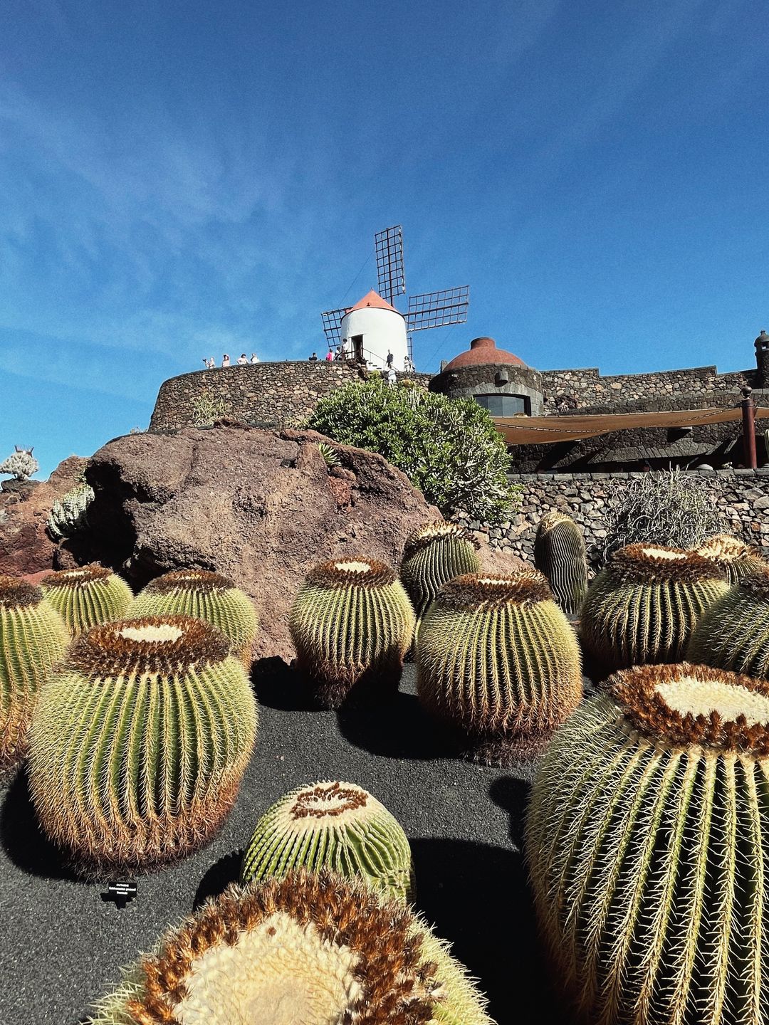 Jardin de Cactus  