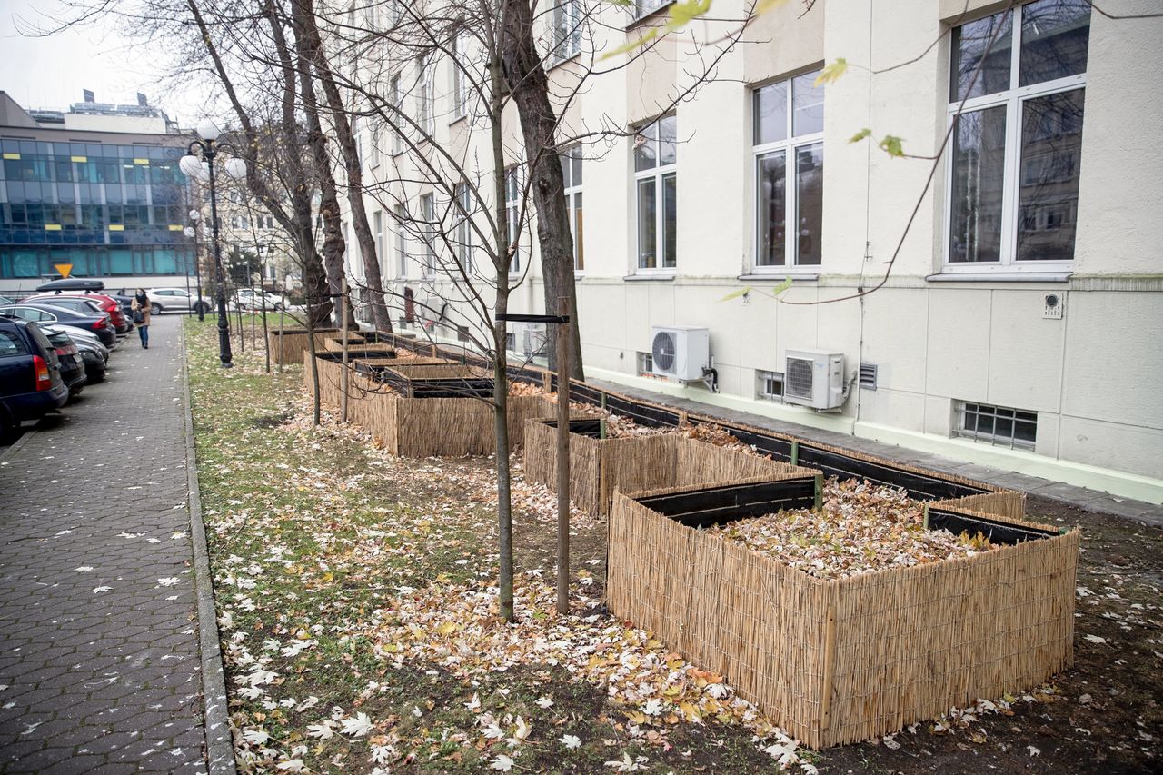  Osiedle dla jeży na terenie Akademii Górniczo-Hutniczej w Krakowie.