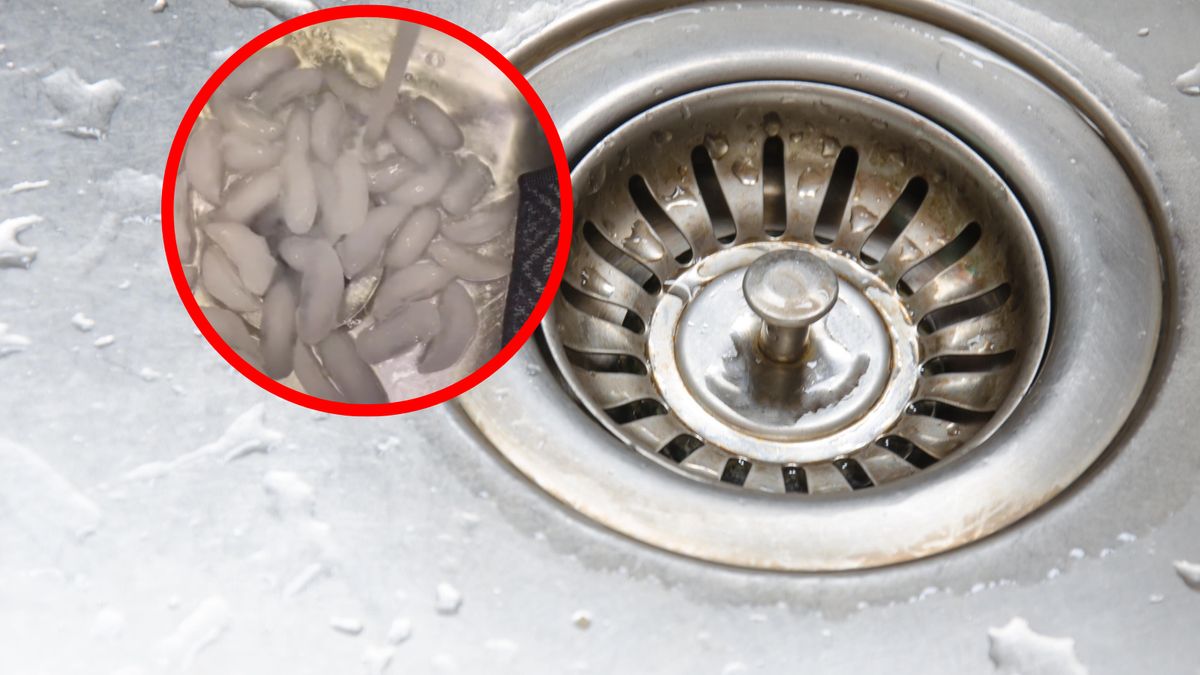 Kostki lodu w zlewie mogą pomóc nam sprawdzić, czy odpływ jest czysty