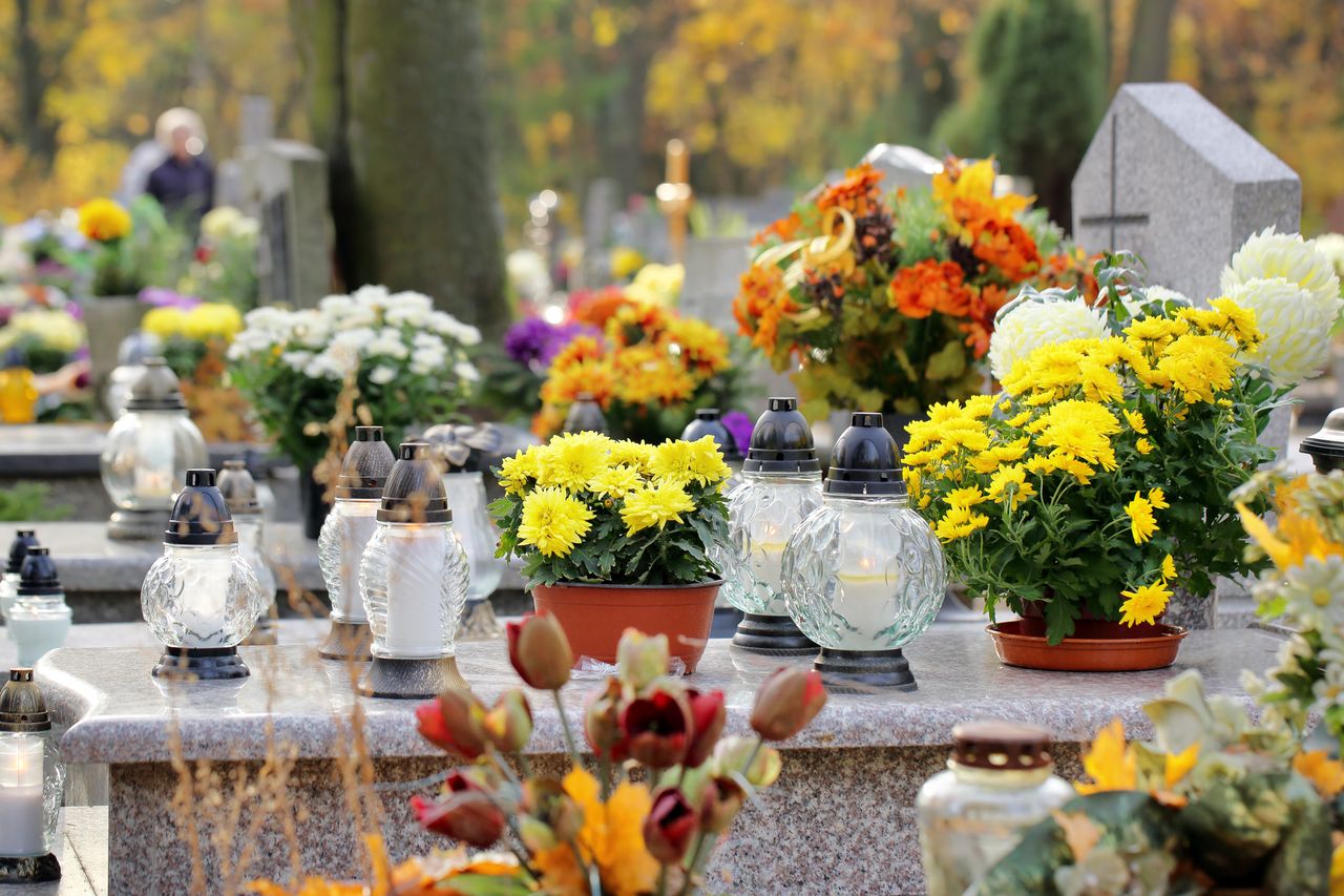 Jakie kwiaty kupić na cmentarz?