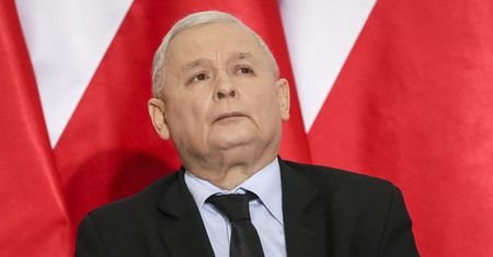 Petru sugeruje, że prezes PiS nie chce by ustawę o wycince drzew badało CBA