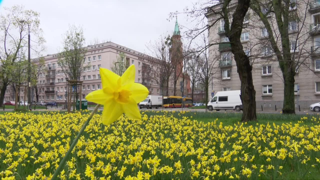 80. rocznica wybuchu Powstania w Getcie Warszawskim. W samo południe zawyły syreny i zabiły dzwony w stolicy