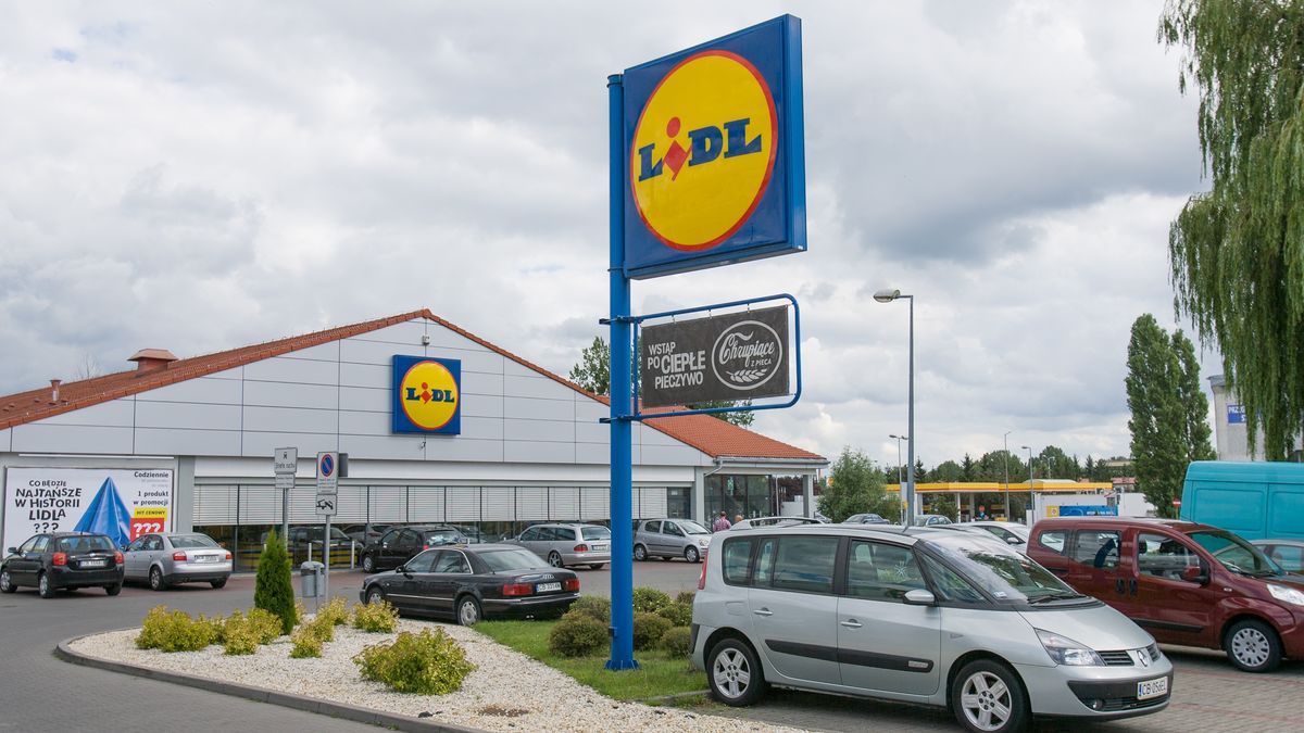 Promocje w Lidlu. 