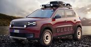 Fiat wraca do gry. Pokazał zapowiedź nowego modelu