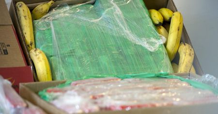 Kokaina nie tylko w bananach. Oto drogi, którymi narkotyk wędruje do Polski