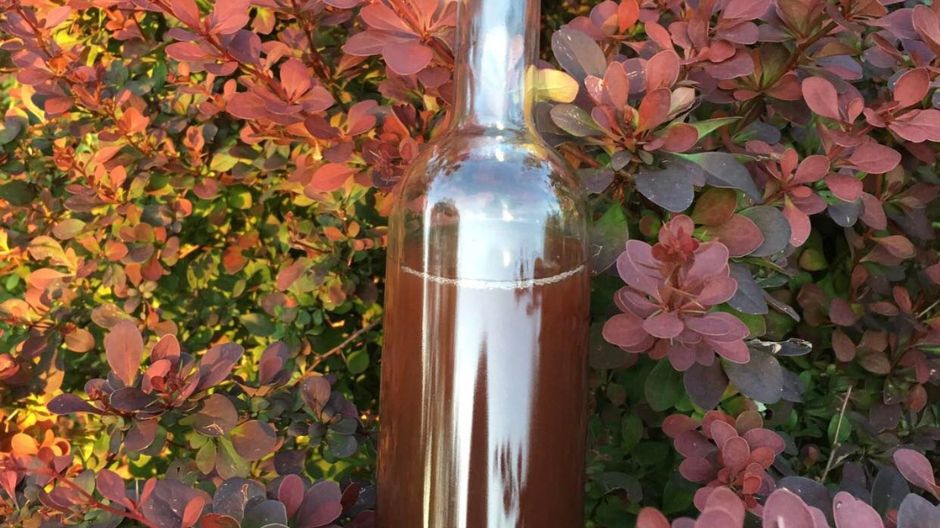 Jak przygotować nalewkę z berberysu?