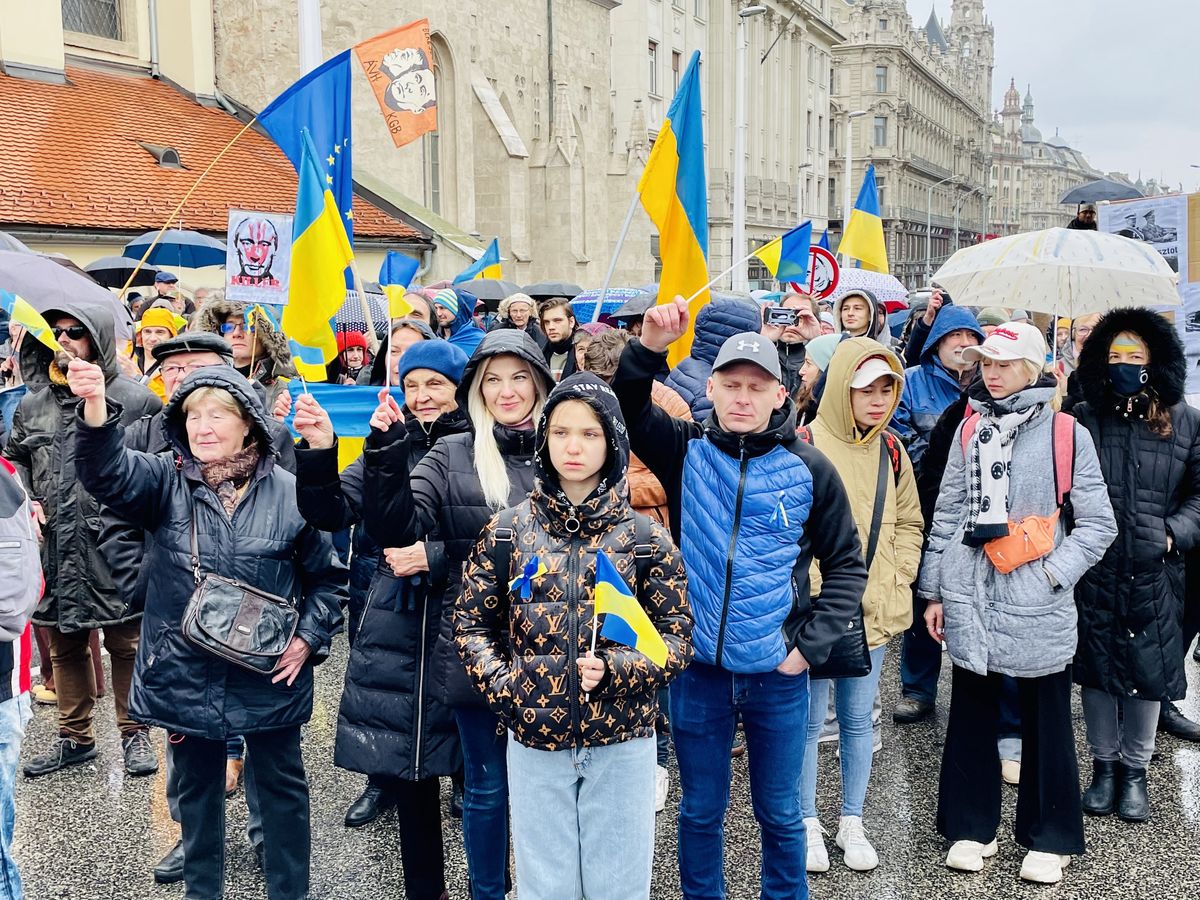 Uczestnicy manifestacji "Niech to się wreszcie skończy!" w Budapeszcie