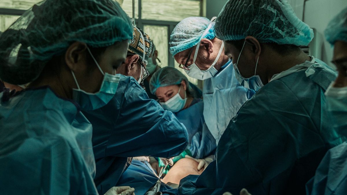 anatomia czlowiek ewolucja