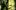Łowy: Wiedźmin 2 na Xbox 360 za 44,90 zł
