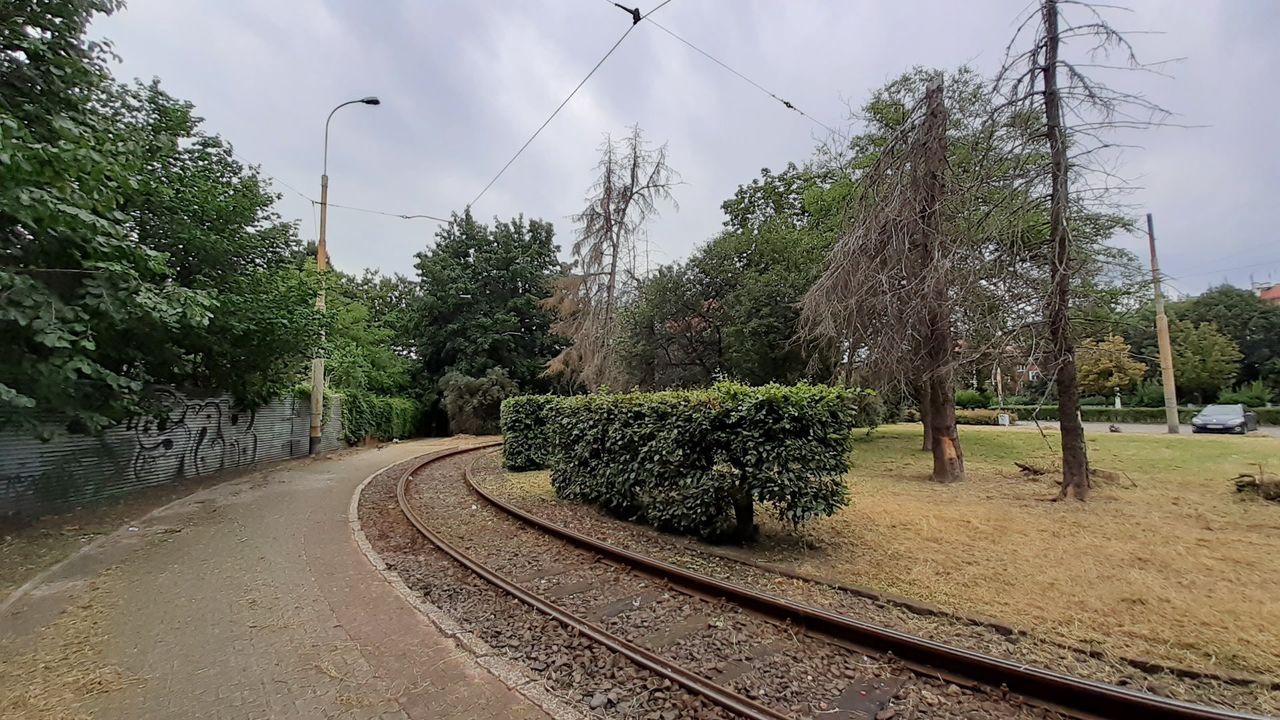 Wrocław. Torowisko na al. Hallera do remontu. Umowa podpisana