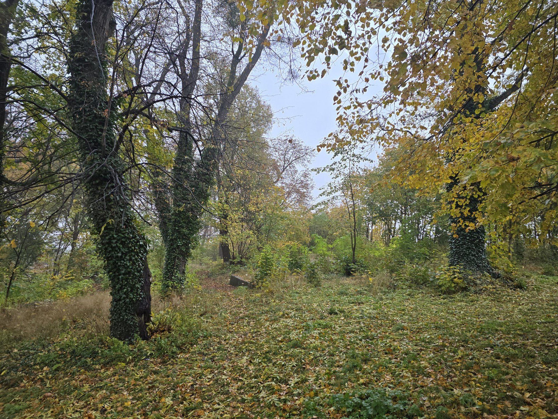 Cmentarz przy ul. Owidzkiej w Starogardzie Gdańskim