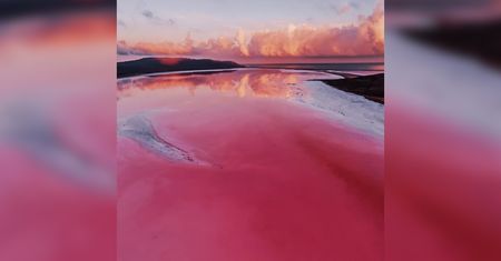Różowa laguna w Australii wygląda jak ze snu. Aż nie chce się wierzyć, że istnieje