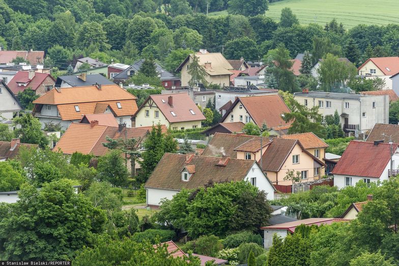 "Masowe nadużycia, wręcz oszustwa". Branża uderza w rządowy program