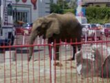 Jeszcze jedna lista zdjęć StreetView Google'a - gdyby cię coś ominęło 3