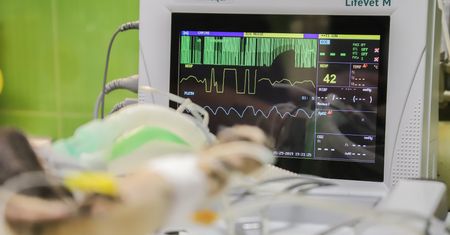Zabrze. Usuwają arytmię serca od 25 lat…i to w tysiącach