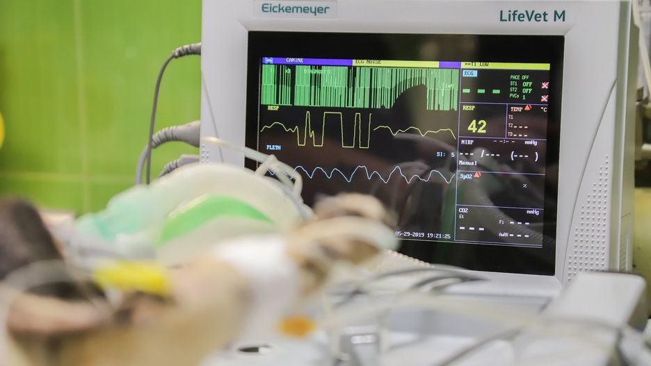 W ciągu 25 lat wykonali 10 tys. zabiegów ablacji 
