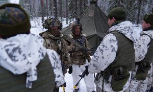 Będą nordyckie wojska na Grenlandii? Finlandia zabiera głos