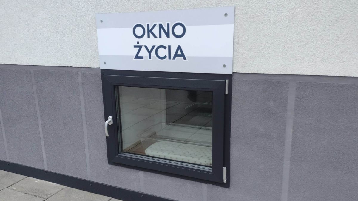 Nietypowi goście w oknie życia w Krakowie