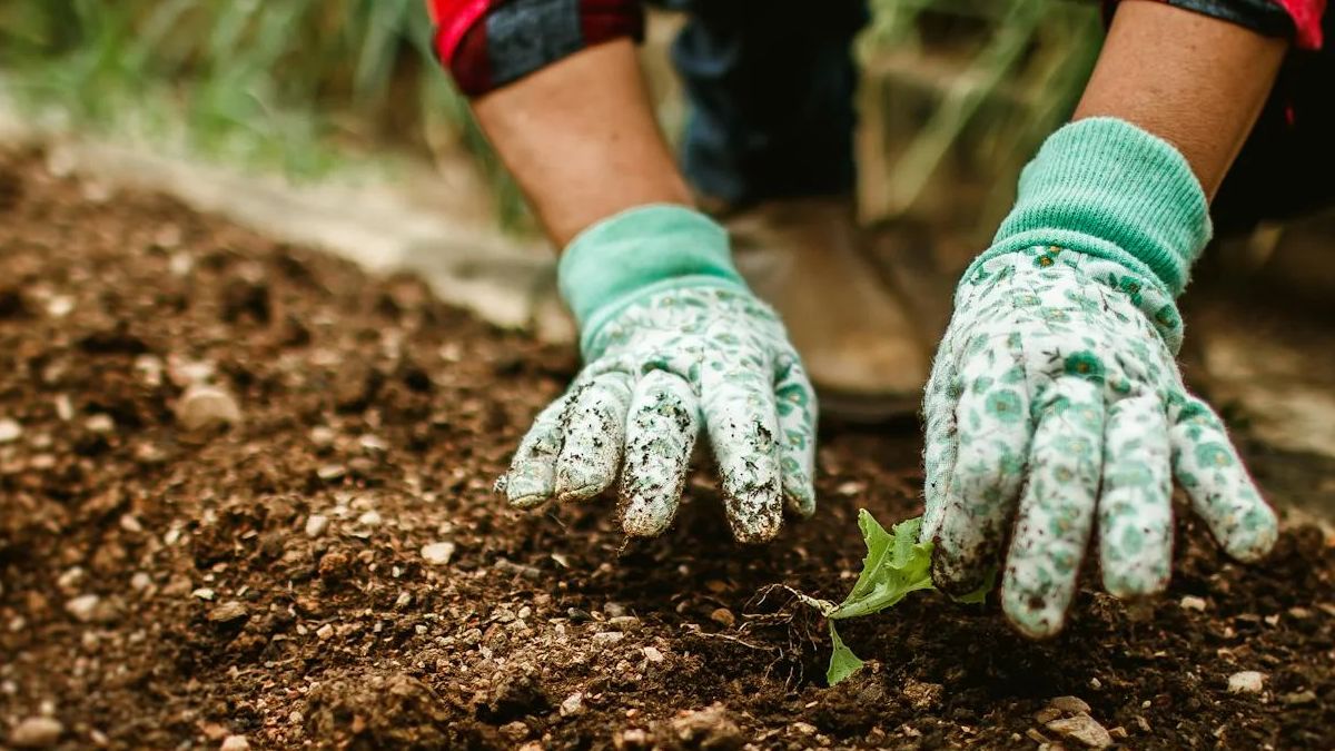 Norwegia kusi polskich pracowników.