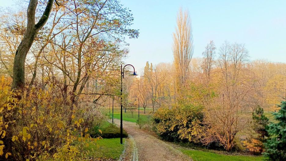 Fot. Danuta Szurpita / Fotki z Włocławka