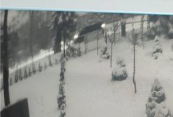 14-latka w ciężkim stanie w szpitalu po potrąceniu. Policjanci publikują zdjęcie z monitoringu i poszukują tego busa