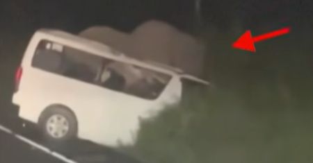 Uganda: minibus zderzył się ze słoniem w Murchison Falls. Trzy osoby nie żyją