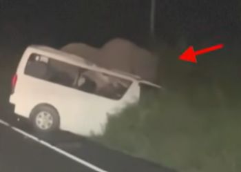 Uganda: minibus zderzył się ze słoniem w Murchison Falls. Trzy osoby nie żyją