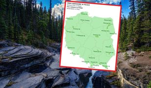 Parki narodowe w Polsce. Sprawdź, ile o nich wiesz