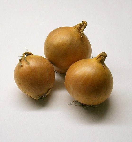 Syrop z cebuli