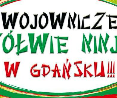 Wojownicze Żółwie Ninja w Twoim mieście