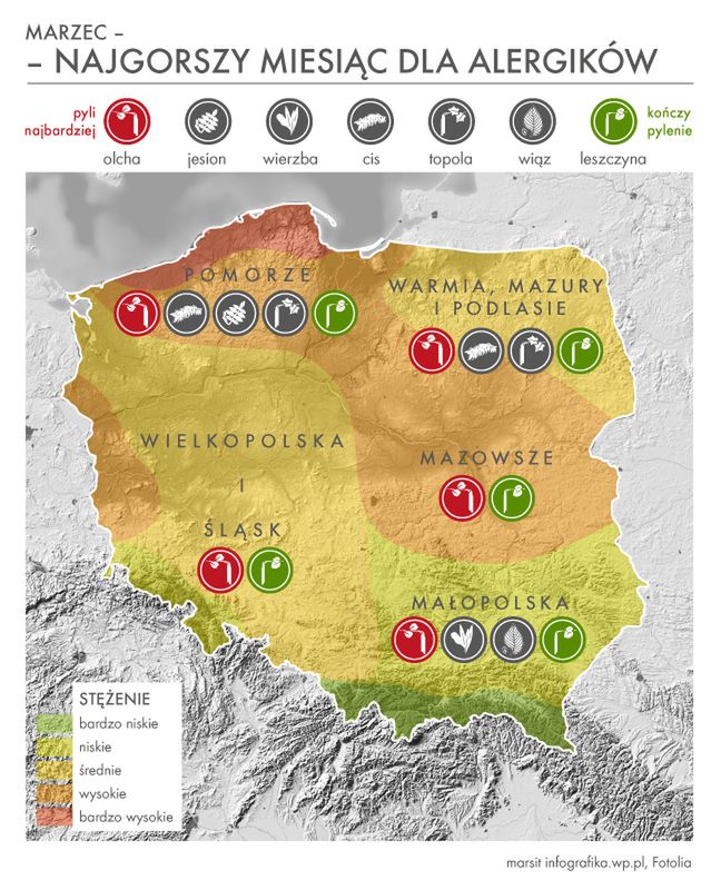 Marzec to prawdopodobnie najgorszy miesiąc dla alergików