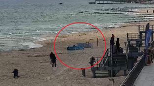 Była godz. 9:52, pojawiły się na plaży w Sarbinowie