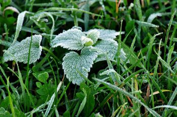 Łódź: Prognoza pogody na sobotę 4 października dla miasta i województwa. W nocy temperatura spadnie poniżej zera?
