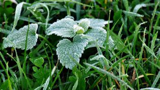 Łódź: Prognoza pogody na sobotę 4 października dla miasta i województwa. W nocy temperatura spadnie poniżej zera?