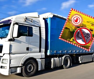 Służby zatrzymały tony owoców z USA. Oto co było w środku