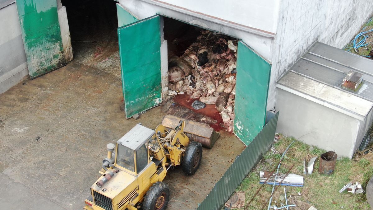 Zdjęcia zostały zrobione w marcu i kwietniu 2021 w powiecie żuromińskim