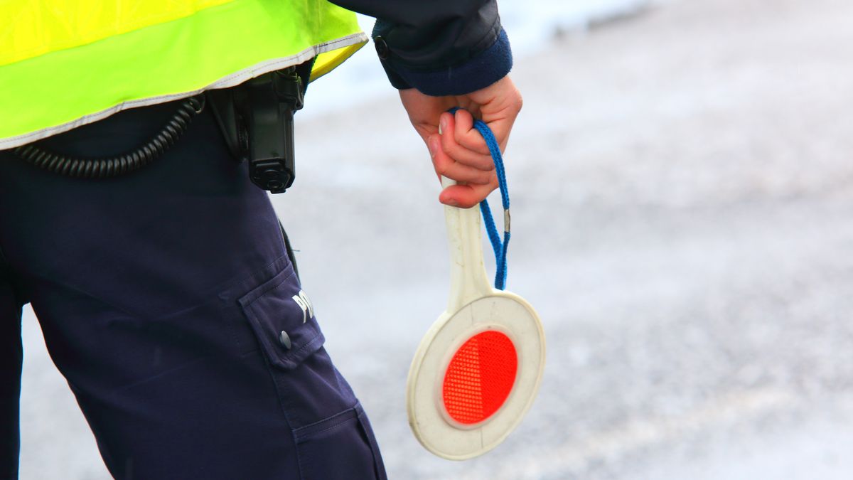 System podwójnego mandatu – na czym to polega?