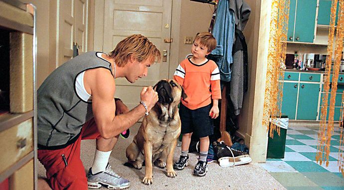 Agencie, podaj łapę