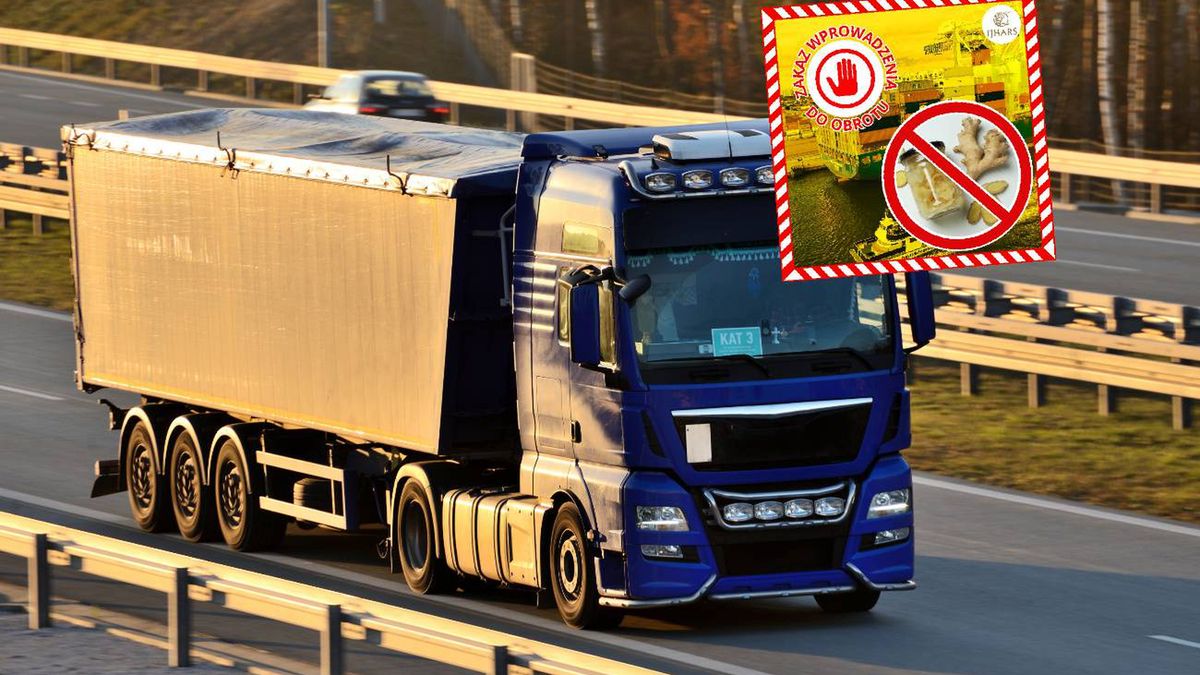 Służby zatrzymały wielką partię imbiru z Chin