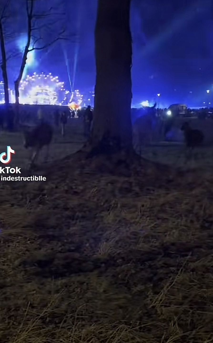 "Sylwester z Dwójką"
