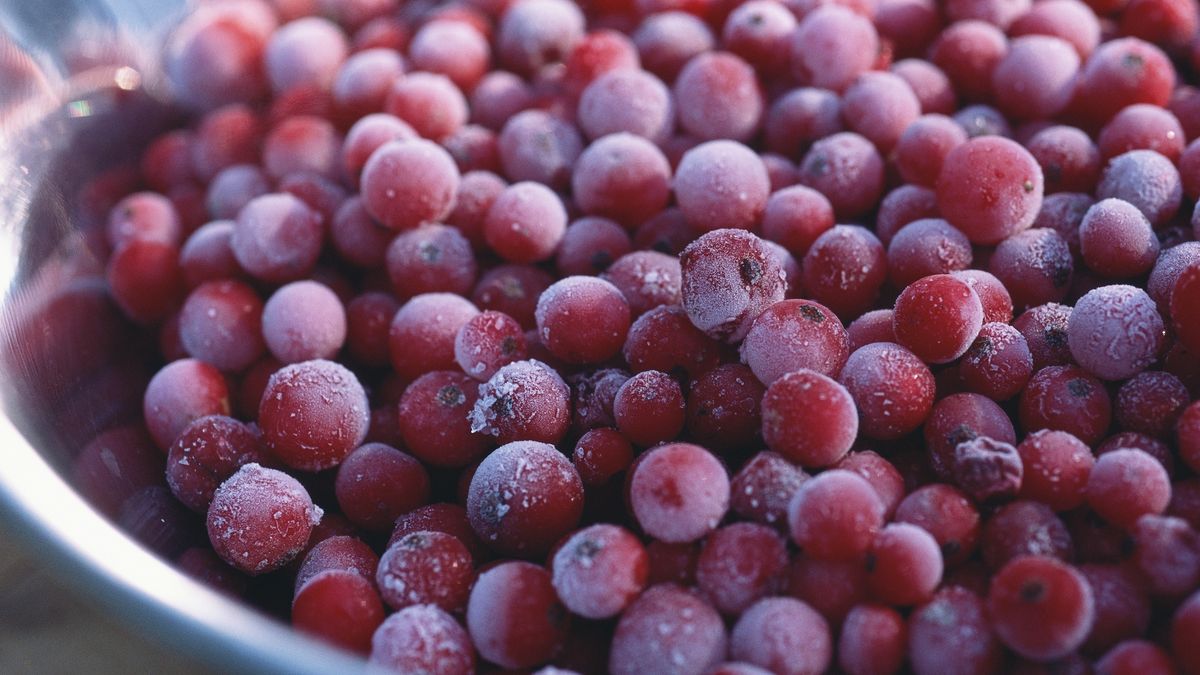 Owoce jagodowe są źródłem silnie działających polifenoli