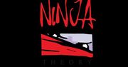 Namco Bandai oraz Ninja Theory partnerami