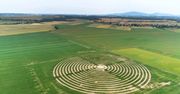 Dolny Śląsk. Gigantyczny labirynt na polu kukurydzy w Milikowicach
