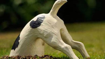 Najciekawsze gadżety do ogrodu - TOP 10 1