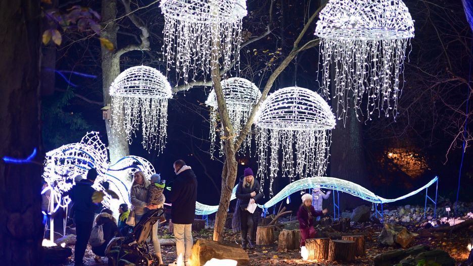 Magiczny Botaniczny powrócił w wielkim stylu