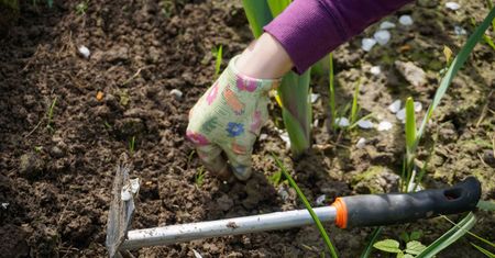 Kalendarz biodynamiczny na 2023 rok. Kiedy rozpocząć prace w ogrodzie?